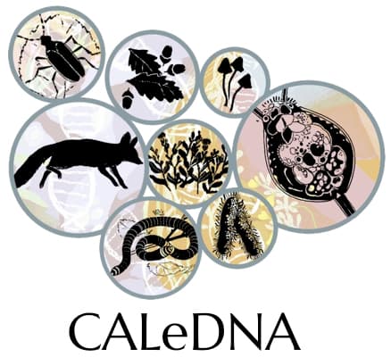 CALeDNA