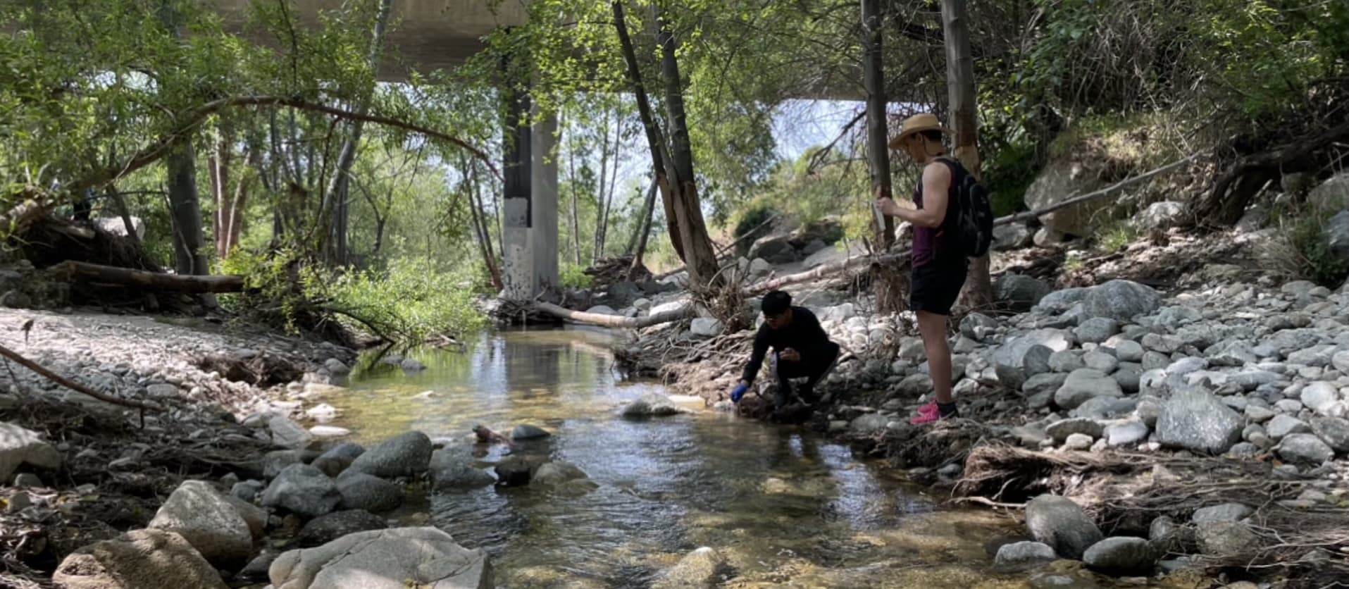 LA River Sampling